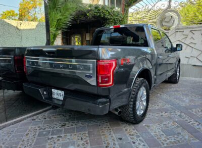 Ford F-150 PLATINUM 2015